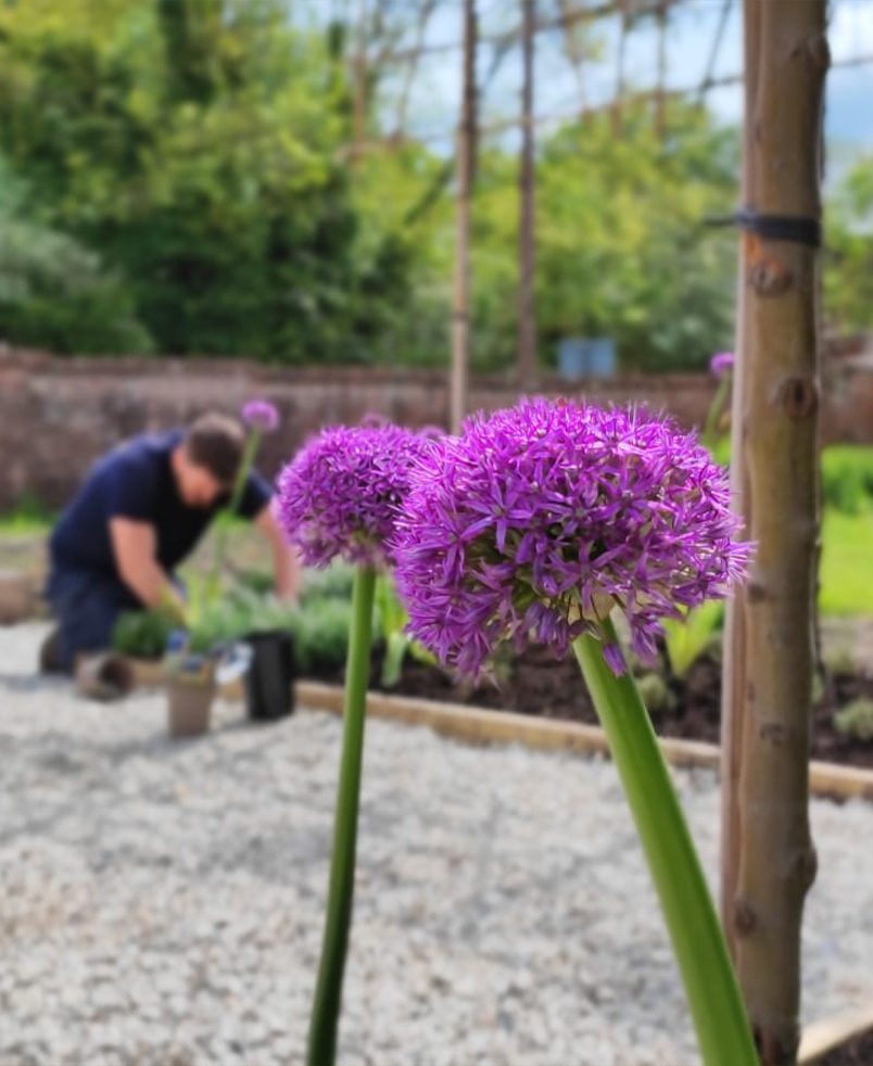 Garden maintenance in Dorset, Wiltshire & Hampshire
